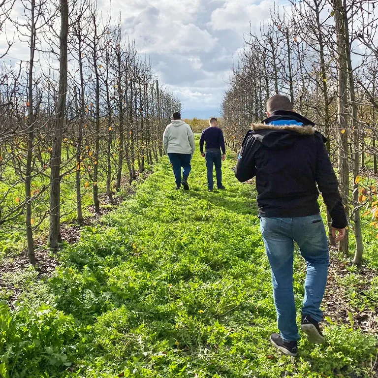 Γεωργικός σύμβουλος εκπαιδεύει παραγωγούς κατά τη διάρκεια επίσκεψης στον αγρό